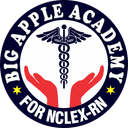 Big Apple Academy